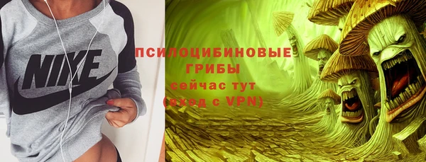 шишки Алзамай