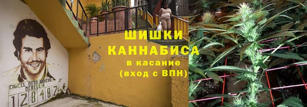 шишки Алзамай