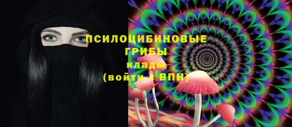 шишки Алзамай